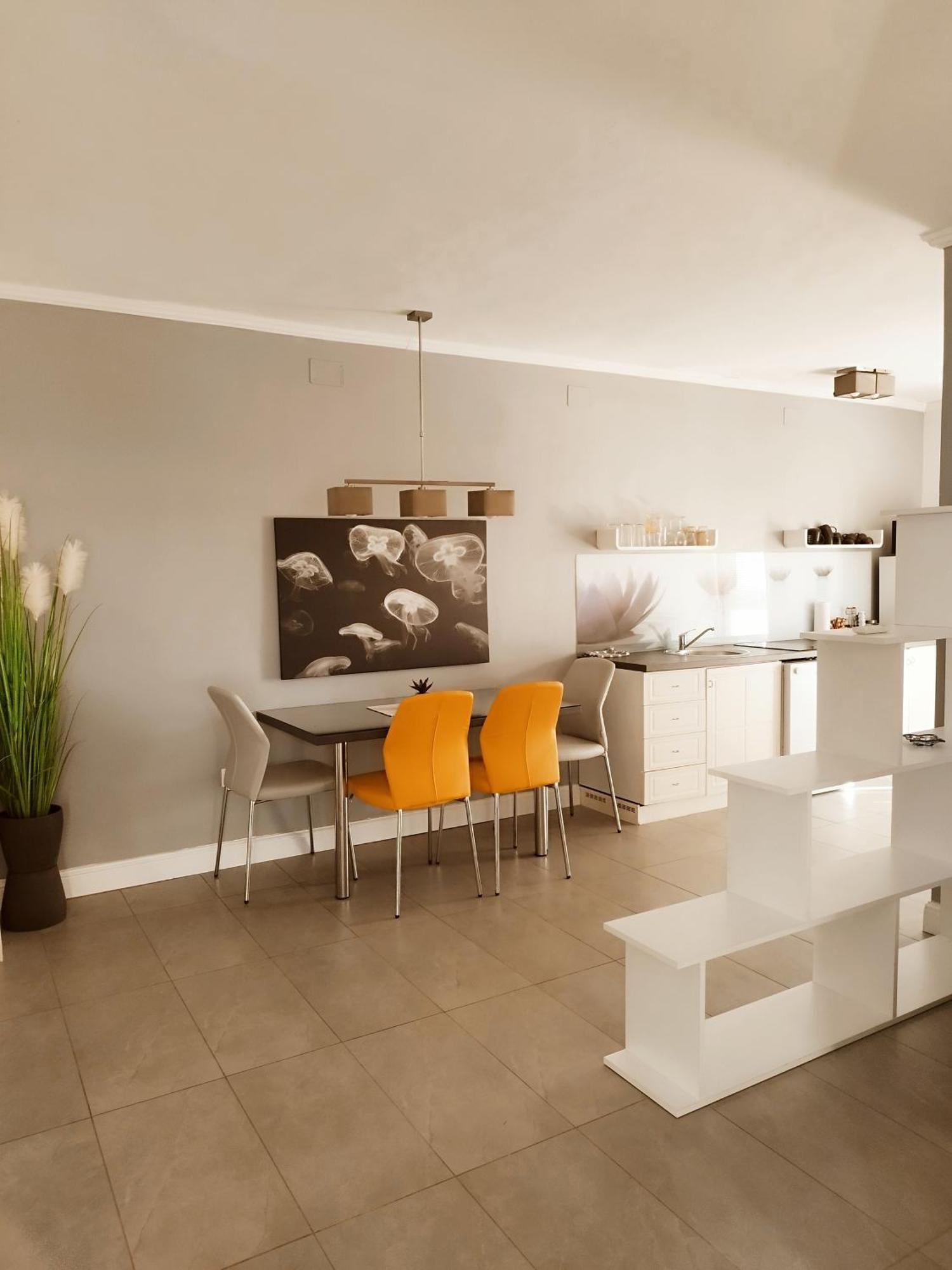 Apartments Merlin Novigrad Istria Oda fotoğraf